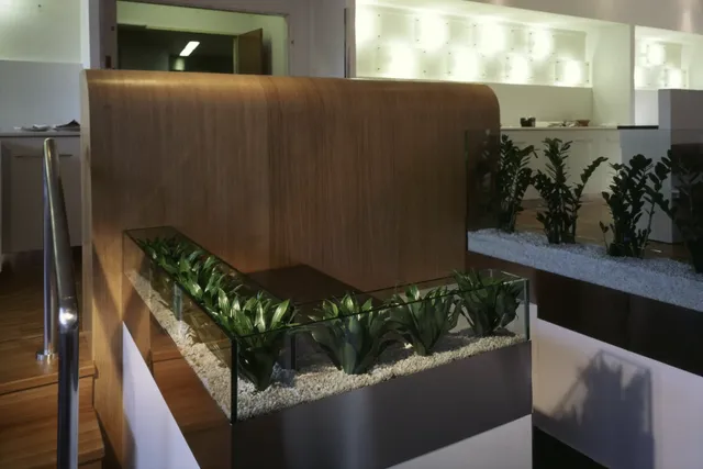 Moevenpick restaurant – fotografie 3