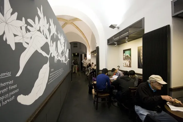 Starbucks stores – fotografie 88